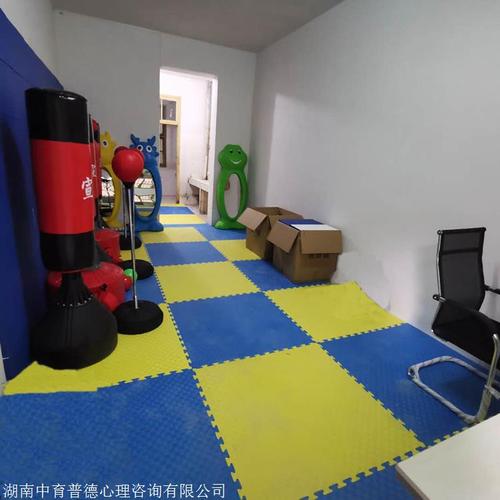 心理咨询室设备厂家一站式服务